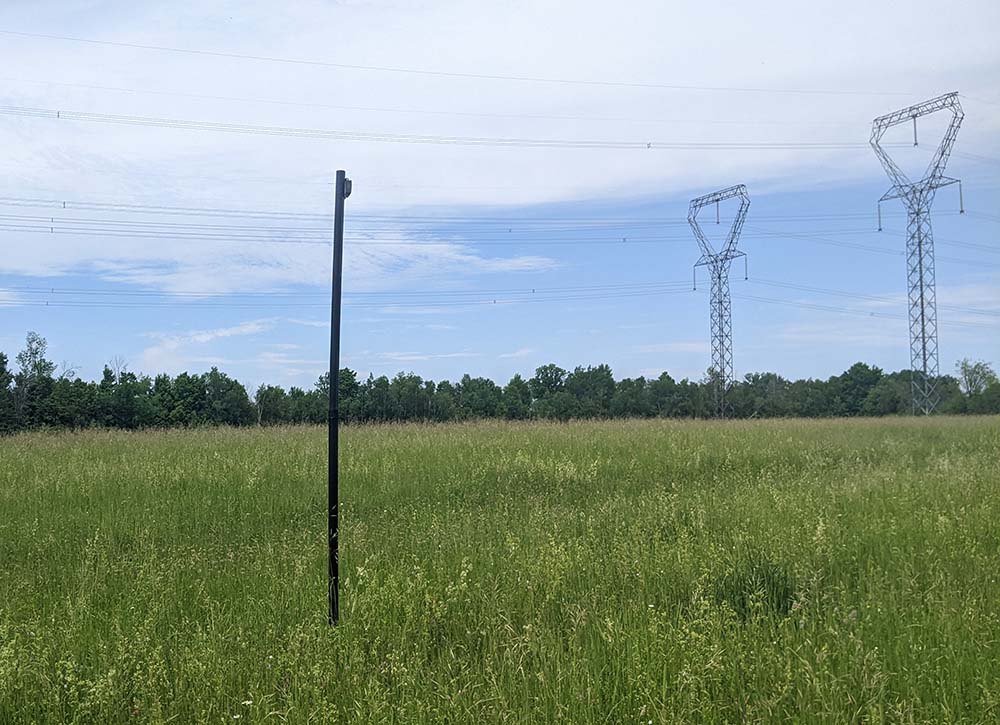An acoustic recording unit monitors bat activity at an RVCA property