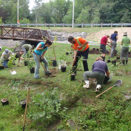 Employee Engagement Program