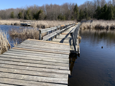 Plank by plank, help Baxter build a better boardwalk