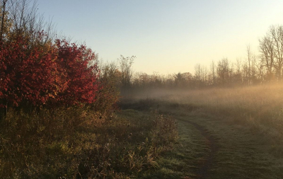 Conservation Foundation Seeking New Board Members