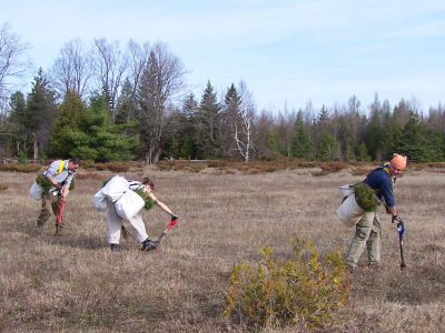 One Tree Planted Supports the Rideau Valley Conservation Authority in Planting 70,000 Trees