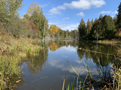 Simmering Family to match up to $5,000 for conservation lands