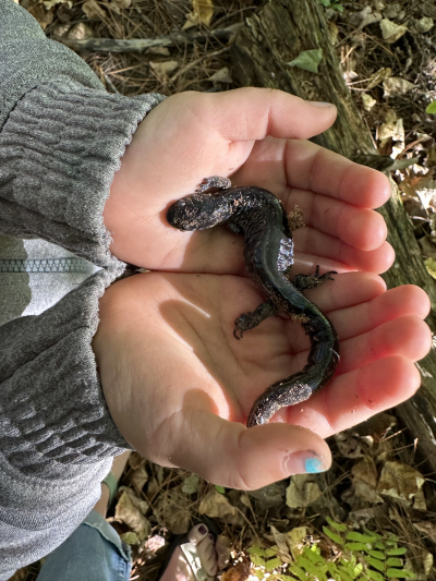 &quot;I see enormous benefits&quot;: Private foundation donates $60,000 to Out To Learn program