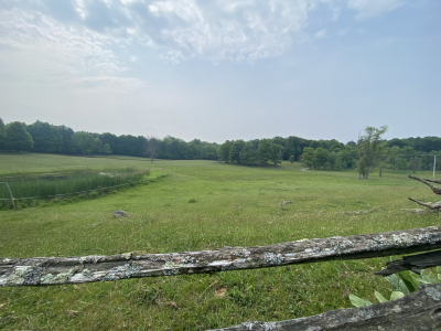 65-acre farm donation a gift to Big Rideau Lake